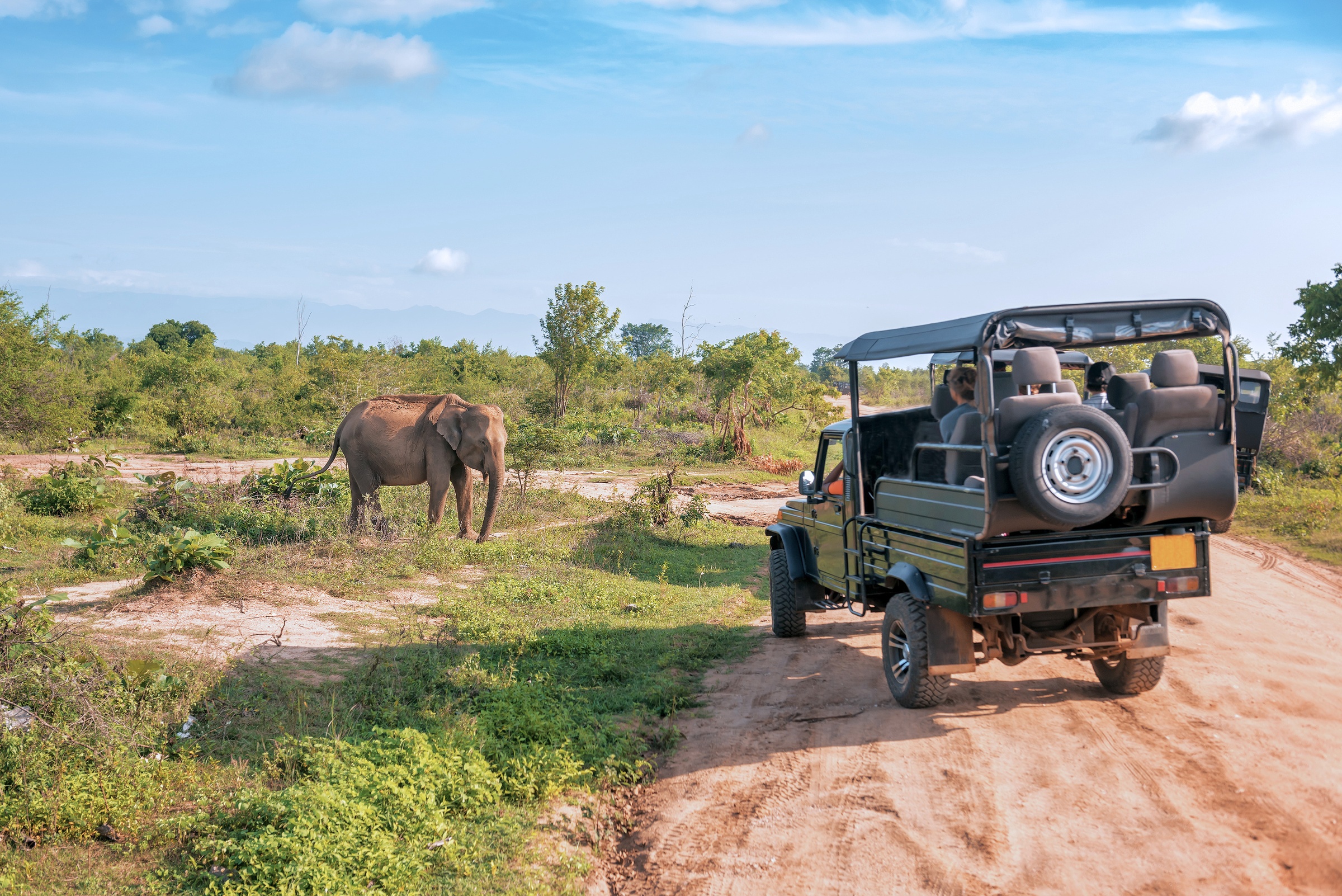 Game drive